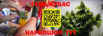 гидропоника Донской